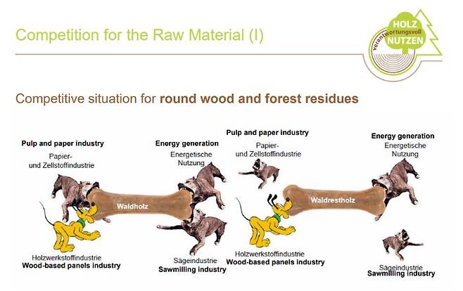 당시 독일 목재 산업계는 에너지 업계와 원료 수급 경쟁을 했다고 한다. 피터 사우어 박사 PPT 캡처