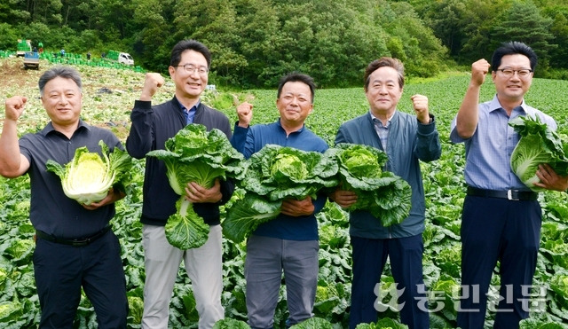 강원 평창 고랭지배추밭에서 정채현 농우바이오 마케팅본부장(왼쪽부터), 김태완 농협경제지주 농산물도매부 농산구매국장, 농민 김원진씨, 이준연 대관령원예농협 조합장, 채원기 농우바이오 경기 여주육종연구소장이 출하를 앞둔 ‘여름왕국’ 배추를 들어 보이고 있다.