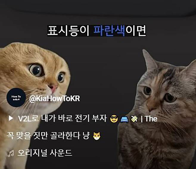고양이 ‘밈’을 사용한 V2L 설명 쇼츠. 기아 사용설명서 채널 캡처