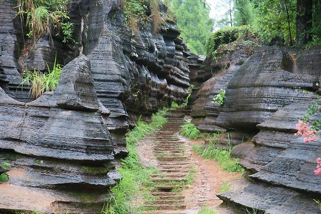 외계적 풍경의 홍석림 (사진. 김관수)