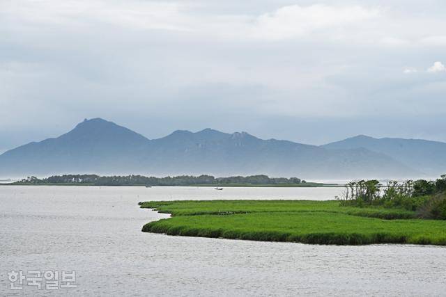 을숙도 탐방로에서 낙동강 하구 모래섬이 신기루처럼 보인다.