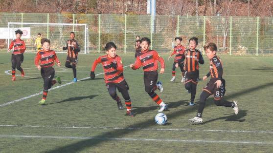 한 초등학교 축구팀이 전남 완도군에서 전지훈련을 하는 모습. 사진 전남도