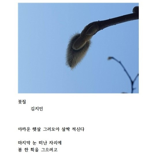 지난해 오장환 디카시 신인문학상 수상작 '붓질' [보은문화원 제공. 재판매 및 DB금지]