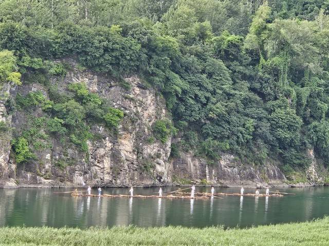 영월군의 올해 제26회 동강뗏목축제가 2일 개막된 가운데 청정 동강에서 전통 방식으로 제작된 뗏목 시연이 펼쳐지고 있다.