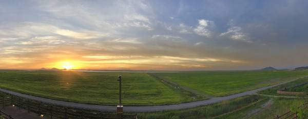 붉은 해가 서해로 넘어가기 직전 전북 부안군 새만금 잼버리 야영장 부지를 비추고 있다. 1년 전 4만2600여명 청소년들의 탄식이 교차했던 야영장은 드넓은 초원으로 변해 있었다. 자세히 살펴보니 잡초만 무성했고 곳곳에 물웅덩이도 보였다. ‘역대 최악의 공공행사’라는 오명을 쓴 2023 새만금 세계스카우트잼버리대회가 1일로 개막 1년을 맞았다. 하지만 감사는 더디고, 실패를 책임지는 인사와 기관은 사실상 없다.