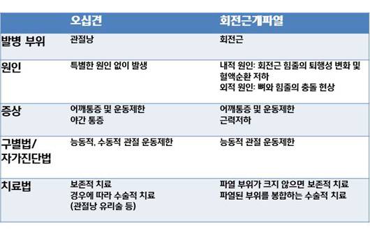 오십견 vs 회전근개파열ㅣ출처: 하이닥