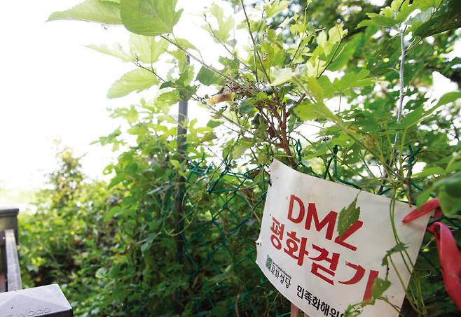 분단의 상징인 DMZ에서 ‘평화’를 염원하는 걷기 행사가 치러지기도 했다.