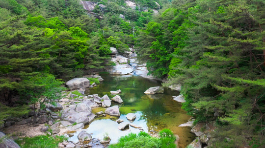 선유구곡   사진=괴산군 제공