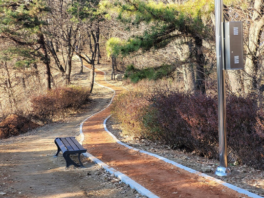 비학산 맨발황톳길. 세종시 제공