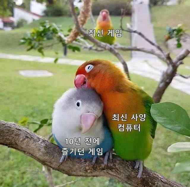 image.png 고사양 컴퓨터 맞춘사람 특징