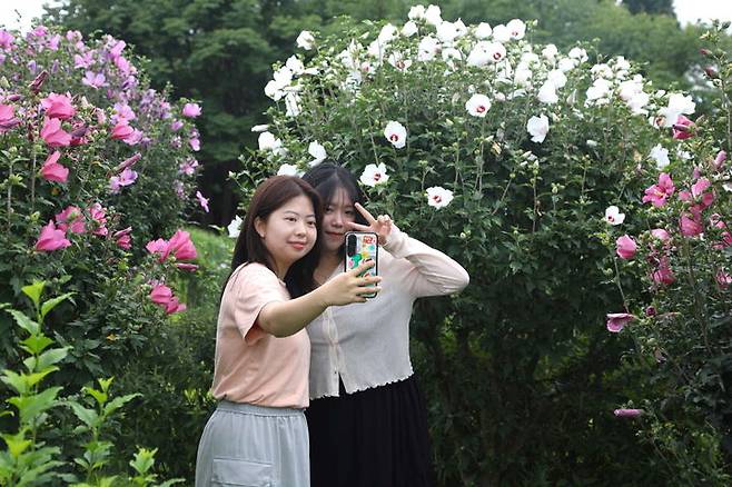 [태안=뉴시스] 지난달 30일 충남 태안 천리포수목원을 찾은 관광객이 무궁화동산을 배경으로 사진을 찍고 있다. (사진=천리포수목원 제공) 2024.08.04. *재판매 및 DB 금지