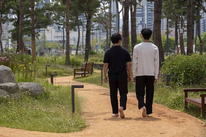 세종중앙공원 술숲맨발길. 세종시 제공