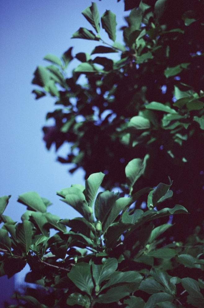 7ded8076b68776ac7eb8f68b12d21a1dada0b18a9dc156