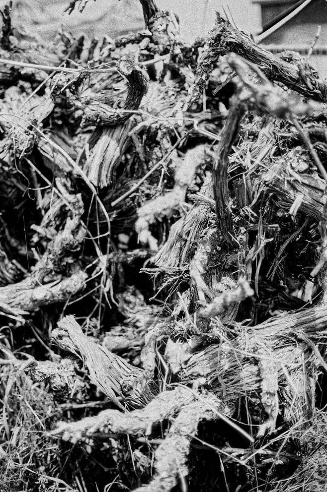 7de58075da806fe864afd19528d52703eb8b281b7c90cef5