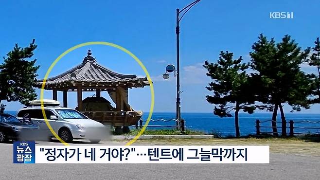 “정자가 네 거야?”…텐트에 그늘막까지 ‘뻔뻔’