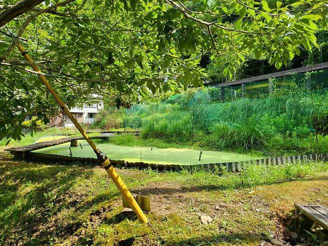 7fed8272b58a68f751ef8fe646817373bb23b78e2d5c9ee4bbd2c28d9f007546