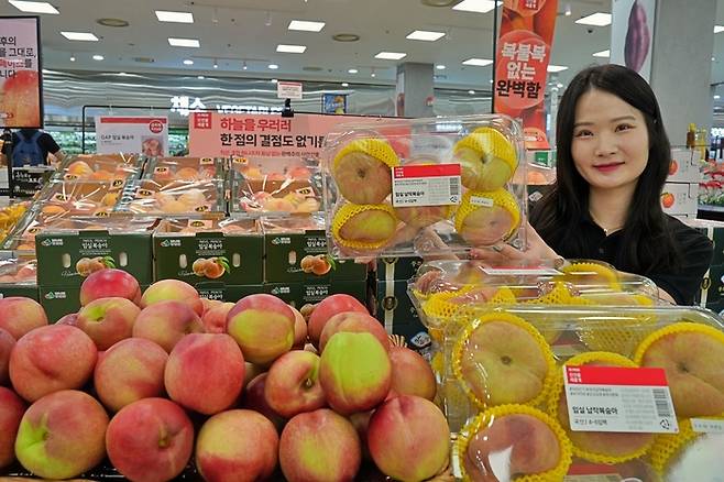 롯데마트·슈퍼가 ‘복케팅’(복숭아 티켓팅) 대표상품으로 유명한 ‘납작 복숭아’와 ‘이노센스 복숭아’를 오는 8일부터 판매한다고 밝혔다. [사진 = 롯데쇼핑 제공]