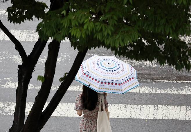 지난 5일 광주 서구 치평동에서 한 시민이 내리는 소나기에 우산을 쓰고 걷고 있다. [사진 = 연합뉴스]