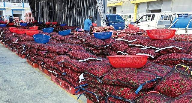 5일 오전 경북 서안동농협 농산물공판장에 경매를 앞둔 홍고추가 쌓여 있다. 서안동농협