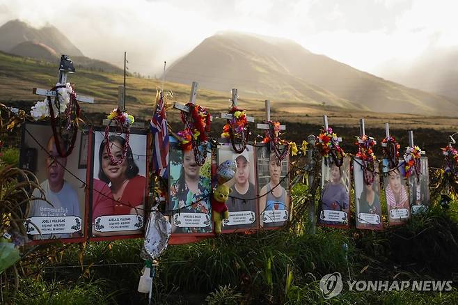 하와이 마우이섬의 산불 희생자 추모비에 걸려 있는 사진들 [AP 연합뉴스 자료사진. 재판매 및 DB 금지]