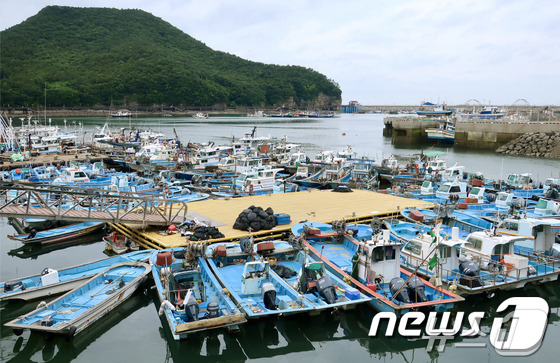 전북 부안군 가력항에 정박중인 어선들(뉴스1/DB)ⓒ News1