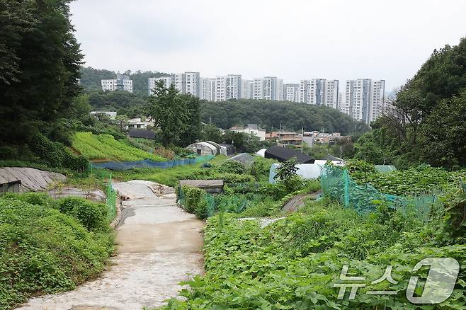 8일 그린벨트 해제지로 유력 거론되는 서울 서초구 내곡동 일대 개발제한구역 모습. 2024.8.8/뉴스1 ⓒ News1 김진환 기자