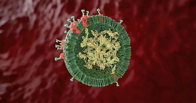 조동규 성균관대 약학과 교수를 중심으로 한 공동 연구진이 ㎚(나노미터, 10억분의 1m) 단위의 주머니 ‘엑소좀’을 활용해 알츠하이머병에 걸린 쥐의 뇌에 직접 유전자 가위 치료제를 전달하는 데 성공했다. 사진은 엑소좀./에복스 테라퓨틱스