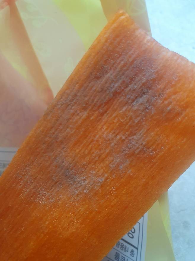 곰팡이 쫀디기 조심하세요