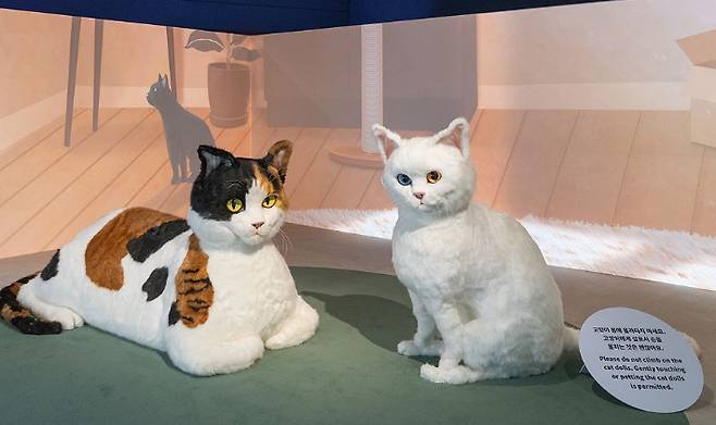 국립민속박물관 제공