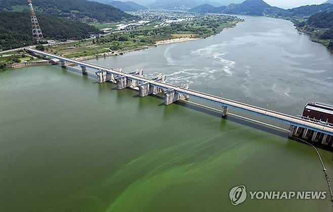 창녕함안보 녹조 둥둥 (창녕·함안=연합뉴스) 김동민 기자 = 폭염이 이어지는 8일 경남 함안군 칠서면과 창녕군 남지읍 경계에 있는 창녕함안보에서 녹조가 관찰되고 있다. 2024.8.8 image@yna.co.kr