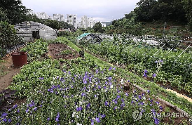 서울 그린벨트 12년만에 해제…수도권서 8만가구 공급 (서울=연합뉴스) 정부가 급등하는 서울 집값을 잡기 위해 개발제한구역(그린벨트) 해제 카드를 꺼냈다. 서울을 포함한 수도권 그린벨트를 풀어 총 8만가구를 공급할 수 있는 신규 택지 후보지를 오는 11월부터 발표한다. 
    정부는 8일 부동산 관계장관회의를 열고 이 같은 내용이 담긴 '국민 주거안정을 위한 주택공급 확대방안'을 발표했다. 사진은 서울 서초구 내곡동 개발제한구역 일대. 2024.8.8 [연합뉴스 자료사진] photo@yna.co.kr