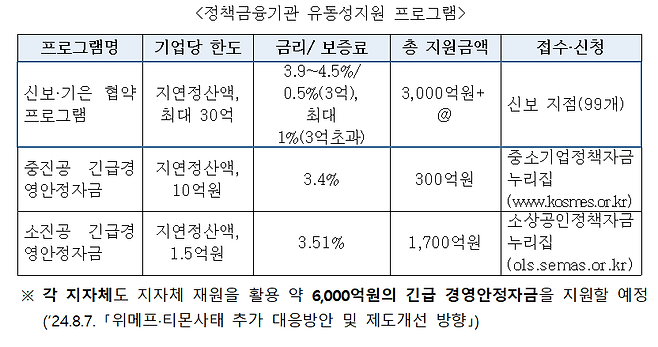 티몬·위메프 정산지연 피해 기업 정책금융기관 유동성지원 프로그램. /표=금융위원회 제공