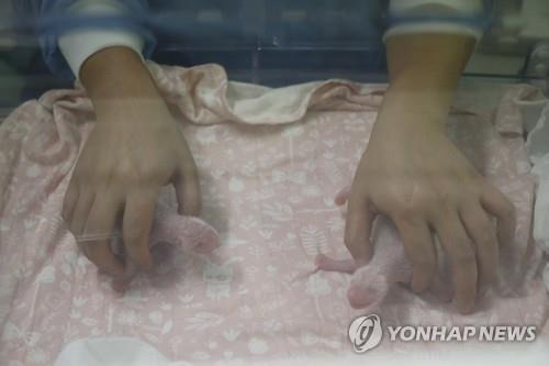 2019년 태어난 벨기에판 쌍둥이 판다 벨기에 파이리 다이자 동물원이 쌍둥이 판다가 태어난 지 하루 만인 2019년 8월 9일(현지시간) 공개한 사진. [EPA 연합뉴스 자료사진. 재판매 및 DB 금지]
