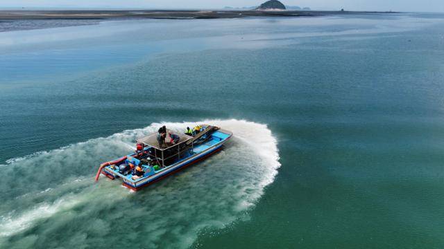 올해 3월 화성 서신면 백미리 어촌계 어민들이 공동어업구역에서 새꼬막 종패(새끼 꼬막) 1,200여 톤을 살포하고 있다. 백미리어촌계 제공