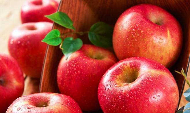 지금이 제철인 사과는 빨갛게 잘 익은 것을 고르는 것이 중요하다. 게티이미지뱅크