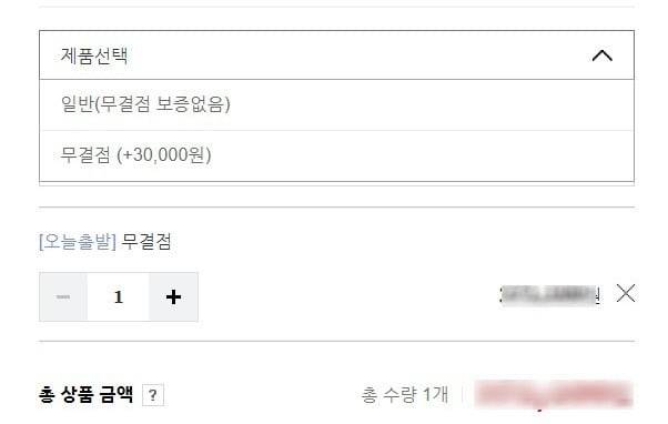 모니터 구매시 '무결점' 옵션 선책 화면 /사진=네이버 쇼핑 캡처