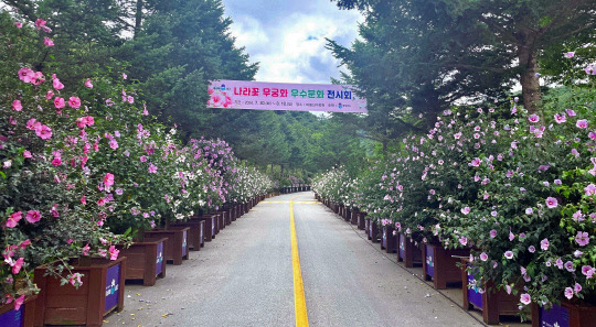 충북 청주 미동산수목원 분화전시회. 산림청 제공