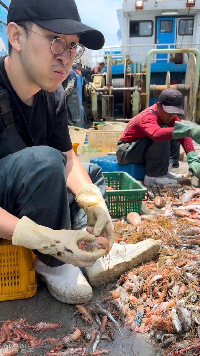 본지 유대근 기자가 7월 3일 출항한 어선 '607 영진호'에서 새우를 크기별로 나누고 있다. 이 배에는 선장 등 한국인 간부 선원 4명과 '코리안 드림'을 꿈꾸며 온 인도네시아 선원 5명이 타 딱새우와 붕장어, 민어 등을 잡았다. 영진호 제공