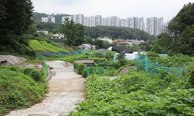 서울 서초구 내곡동 일대 개발제한구역 모습. 뉴스1