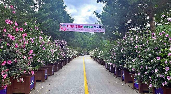 청주 미동산수목원 분화전시회 [산림청 제공. 재판매 및 DB 금지]