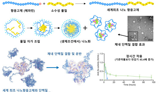 건대 글로컬캠퍼스 연구팀의 연구내용 모식도. 사진=건국대 글로컬캠퍼스 제공