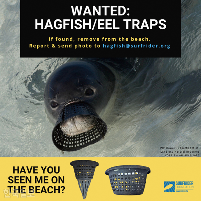 서프라이더 재단이 하와이 전역에 뿌린 장어통발 수거 요청 전단지. 서프라이더 재단 제공