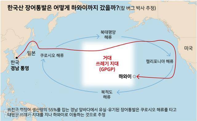 그래픽=강준구 기자