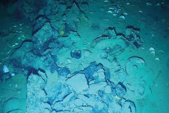 이번에 콜롬비아 문화부가 공개한 산호세의 탐사 사진 일부