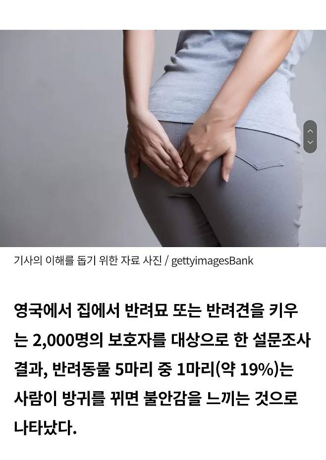 반려견·반려묘 앞에서 \'방귀\' 뀌지 마세요... "보호자 방귀가 신경쇠약 유발한다