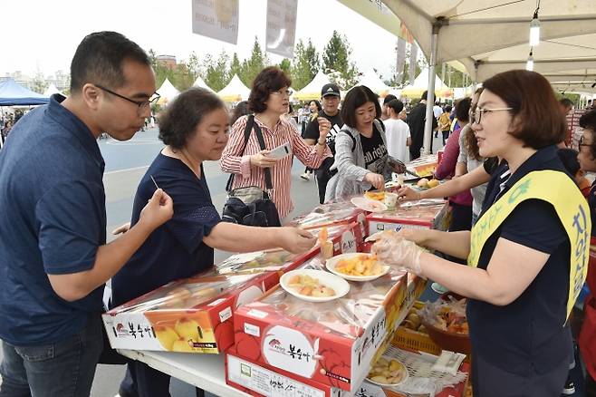 ▲제20회 치악산복숭아축제에 방문해 치악산복숭아를 시식하는 방문객들/사진제공=원주시청