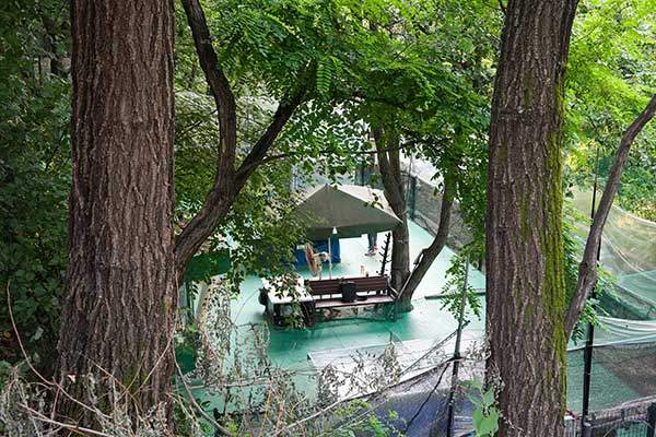 산스장 옆 탁구장.