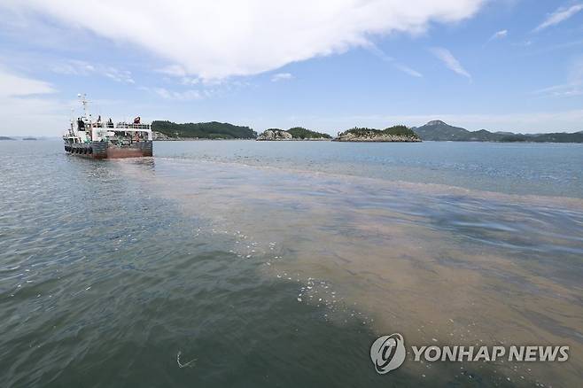 완도 앞바다 적조에 황토로 대응 [연합뉴스 자료사진]