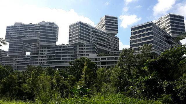 싱가포르 인터레이스.