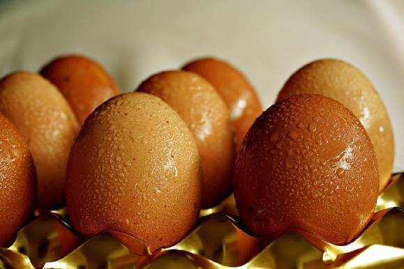 단백질은 우리 몸의 근육 생성을 위해서 꼭 필요한 영양소일 뿐만 아니라 섭취 자체만으로도 기초대사량 상승에 도움을 줄 수 있다. [사진=픽사베이]